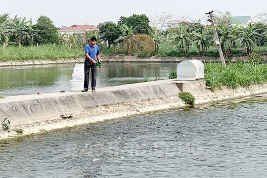 Hải Dương hỗ trợ 3 vùng nuôi thủy sản tập trung hơn 3 tỷ đồng