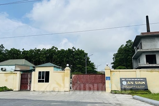 Công ty CP Công nghệ môi trường An Sinh vi phạm về môi trường