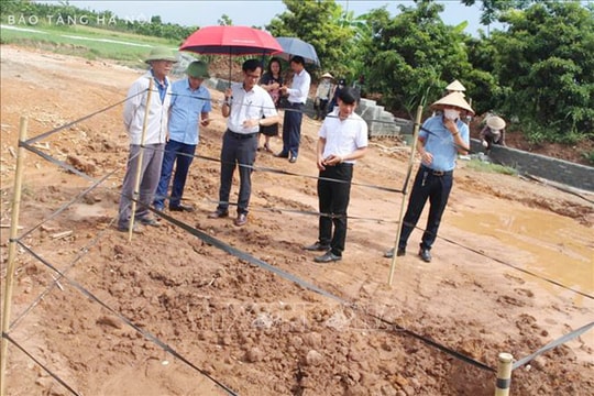Đề xuất khai quật khẩn cấp mộ gạch mới phát hiện tại huyện Đan Phượng (Hà Nội)