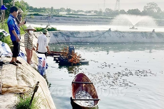 [Audio] Người nuôi thuỷ sản lao đao vì nắng nóng