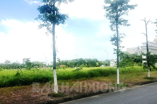 Dự kiến đầu tư khu nhà ở, nhà văn hoá, thể thao rộng hơn 3,7 ha cho người lao động ở Hải Dương