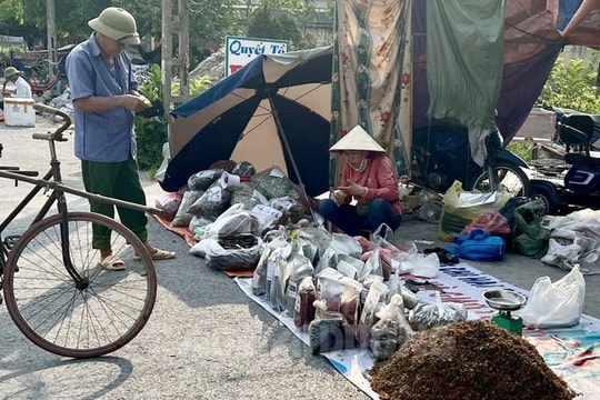 Bán thuốc Nam dạo