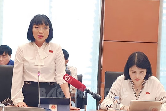 Quy định về nhiệm vụ của lực lượng tham gia bảo vệ an ninh, trật tự ở cơ sở chưa hợp lý