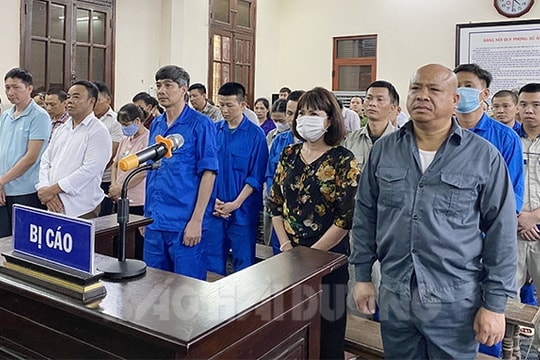 Nguyên Chủ tịch UBND thị trấn Cẩm Giang và Thủy "gỗ" lĩnh án