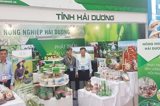 Giới thiệu, quảng bá doanh nghiệp và sản phẩm tiêu biểu ở Thái Lan