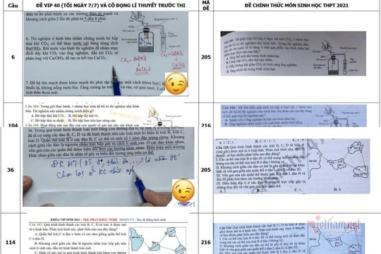 Vụ lộ đề thi tốt nghiệp THPT: Hai giáo viên "phím" trước đề cho người quen