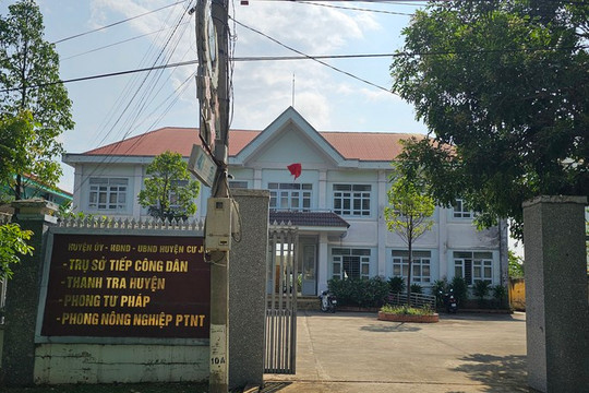 Phó Bí thư chi bộ Phòng Tư pháp… ăn trộm cây hoa giấy!