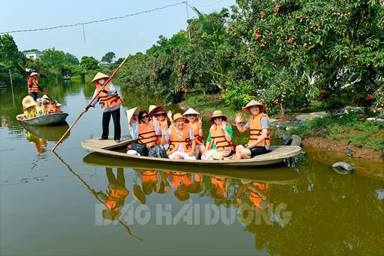 Trong sắc đỏ vải thiều xứ Đông