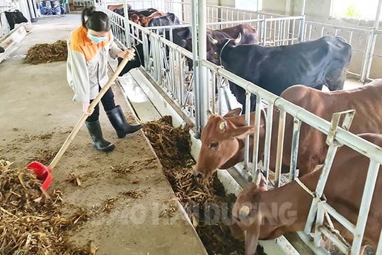 Hiệu quả nông nghiệp tuần hoàn