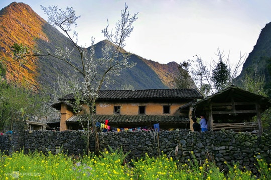 Hà Giang lý giải kế hoạch thu phí cao nguyên đá Đồng Văn