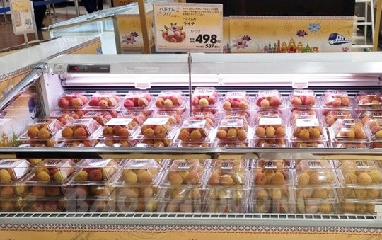Vải thiều Thanh Hà tại Nhật Bản được giá cao
