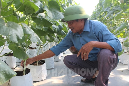 Phát triển nông nghiệp công nghệ cao
