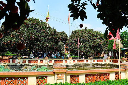 Quả ngọt Thanh Hà