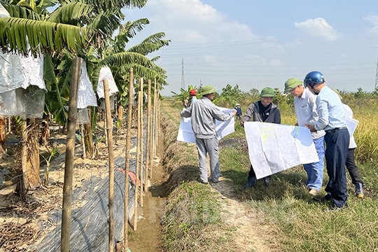 Hải Dương chuyển mục đích sử dụng 239,43 ha đất cho 3 khu công nghiệp mới