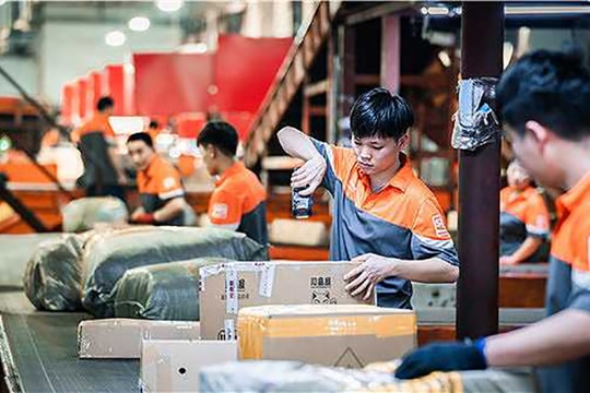 Vì sao chăm chỉ mà vẫn thất bại?