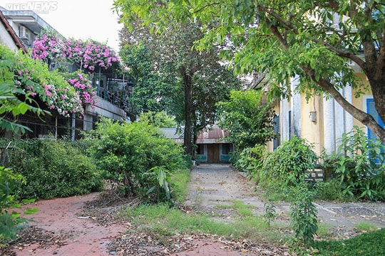 Cảnh hoang tàn trong căn nhà Hoàng Thái hậu cuối cùng của triều Nguyễn