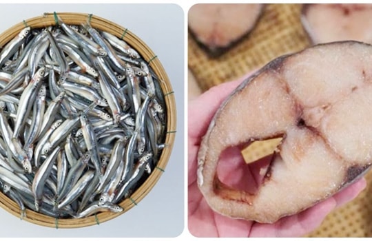 Các loại cá biển tốt cho sức khỏe nên mua khi đi chợ