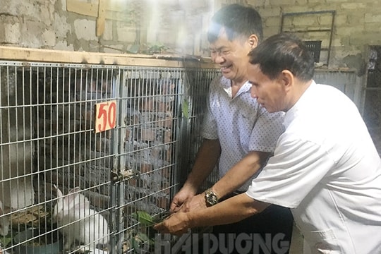 Những cựu chiến binh "hồi sinh" vùng đất chua trũng