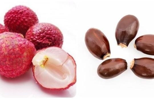 Những công dụng bất ngờ của hạt quả vải với sức khỏe