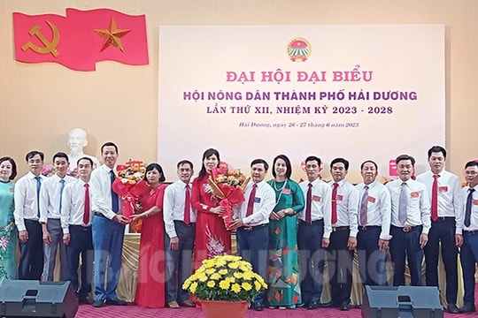 Hội Nông dân TP Hải Dương phát triển thêm nhiều hội viên 