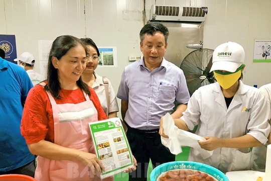 Doanh nghiệp Nhật Bản chuyển giao kỹ thuật bảo quản và tiêu thụ quả vải quanh năm