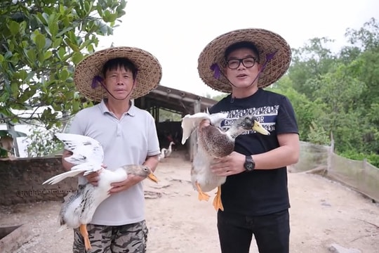Nhà hàng vịt biển đầu tiên ở Hải Dương có gì đặc biệt?