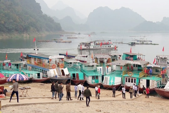 Giám đốc bến cảng du lịch Thung Nai bị điều tra trốn thuế