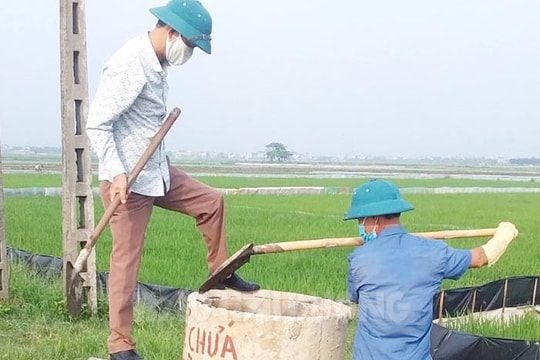 "Cánh đồng không rác thải" ở Ninh Giang 