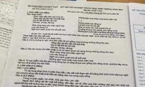 Vụ lộ đề Văn thi tốt nghiệp THPT diễn ra thế nào?