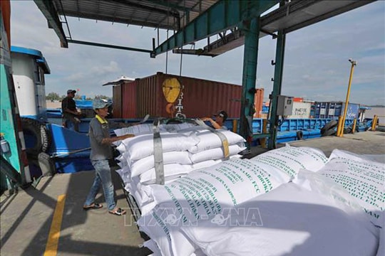 Việt Nam giữ vững vị thế nhà cung cấp gạo hàng đầu cho Philippines