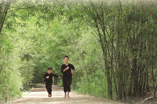 Làng tôi giữa hè