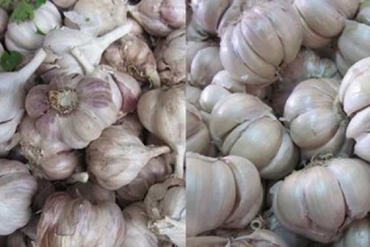 Cách phân biệt rau củ quả của Việt Nam và Trung Quốc