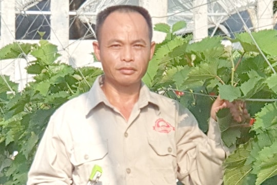 Hải Dương có 2 người được công nhận là nông dân Việt Nam xuất sắc năm 2023