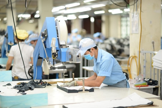 Đã cắt bỏ, đơn giản hóa khoảng 50% số điều kiện kinh doanh