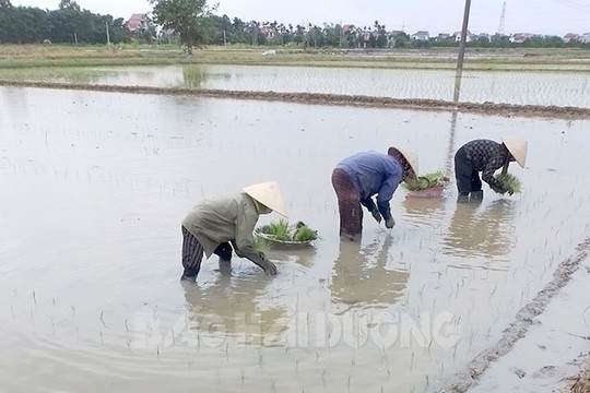 Hỗ trợ phụ nữ, trẻ em nghèo 