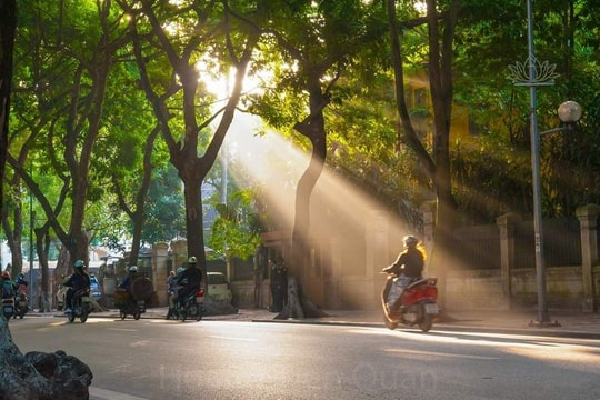 Vẫy hạ chào thu