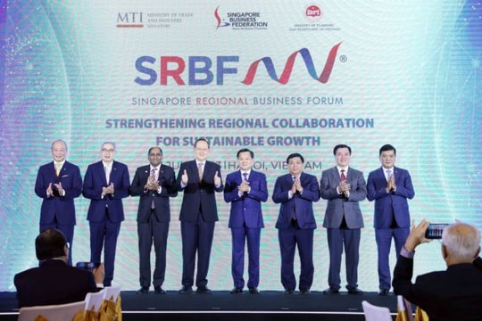 Vietnam-Singapore urged to further promote cooperation