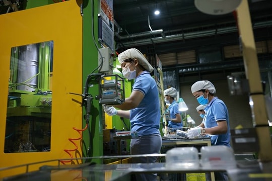 Vietnam to resume rapid economic growth over medium term: foreign media