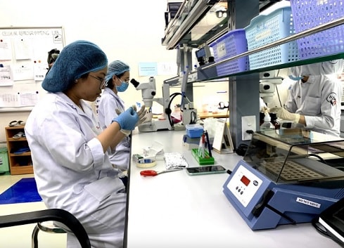 Phát triển các đại học quốc gia cạnh tranh được với đại học quốc tế