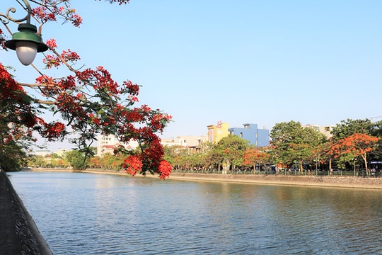 Thư tình mùa hạ