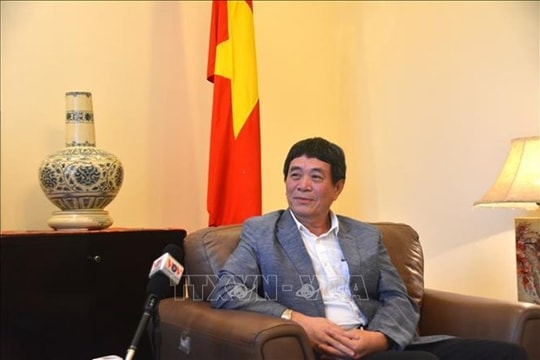 Vietnam promotes solidarity, consensus in ASEAN at AMM-56: diplomat