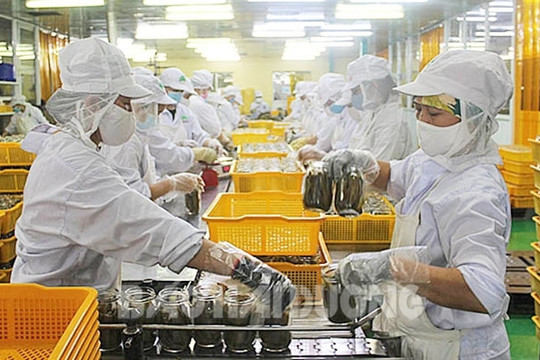 Cử tri kiến nghị nhiều vấn đề trước kỳ họp HĐND tỉnh