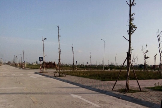TP Hải Dương phê duyệt giá khởi điểm đấu giá đất ở dự án khu dân cư phía nam đường Việt Hòa