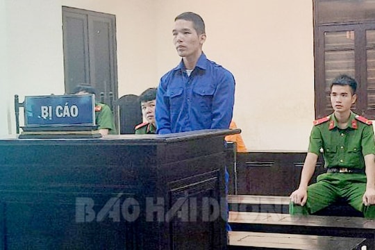 Đi tù vì lấy trộm cây tùng la hán