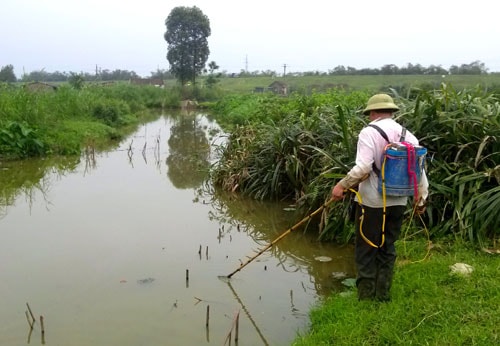 Phạt tiền đến 50 triệu đồng với hành vi sử dụng điện để khai thác thủy sản