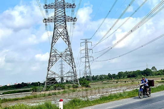 Hải Dương hỗ trợ bảo vệ thi công đường dây 220 kV qua xã Cẩm Hưng