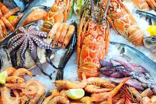 Lý do một số người dị ứng tôm nhỏ nhưng vẫn ăn được tôm hùm