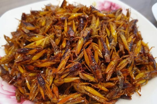Nam thanh niên sốc phản vệ sau khi ăn châu chấu