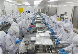 Dư địa cho đà phục hồi kinh tế Việt Nam 
