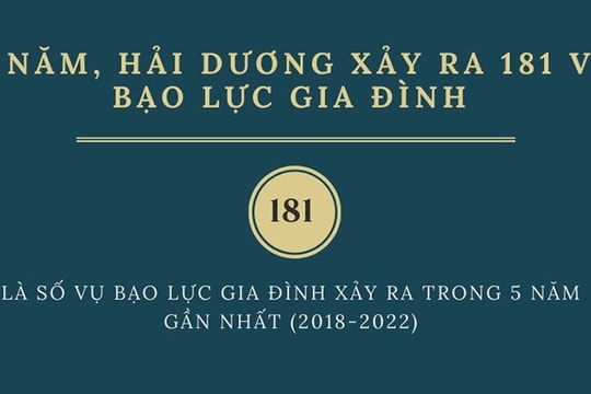 [Đồ họa] 5 năm, Hải Dương xảy ra 181 vụ bạo lực gia đình